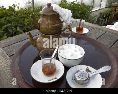 Türkei, Istanbul, Setüstü-Teegarten im Gülhane Park, Stockfoto