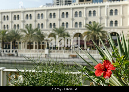 Vegetation, Naherholung, "Al Qasba" Vergnügungsviertel, Emirat Sharjah, Vereinigte Arabische Emirate, Arabische Halbinsel, Naher Osten, Asien, Stockfoto