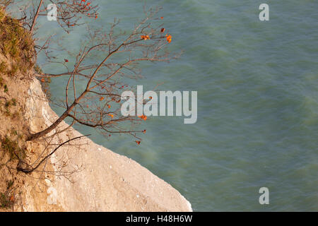 Die Ostsee, Nationalpark Jasmund, Kreide Felsen, Wissower Griffe, Stockfoto