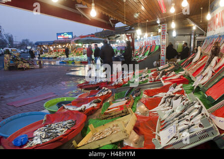 Türkei, Istanbul, Kumkapi, Fischmarkt Stockfoto