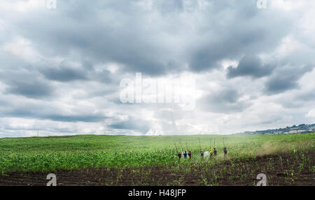 Mann gegen Natur Stockfoto