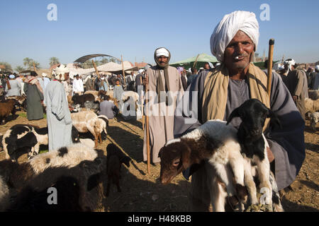 Ägypten, auf dem Kamel Markt Darau nahe der kleinen Stadt Kom Ombo nach Süden Assuan, Stockfoto