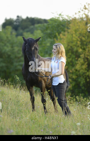 Teenager-Mädchen, Pferd, Arabo-Haflinger, Wiese, Ständer, Stockfoto