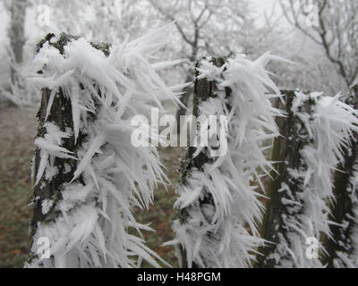 Tschechien, Poldovka, Holzzaun, Eiskristalle, Frost, Stockfoto