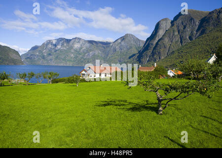 Skandinavien, Norwegen, Haus, Aurland, Stockfoto