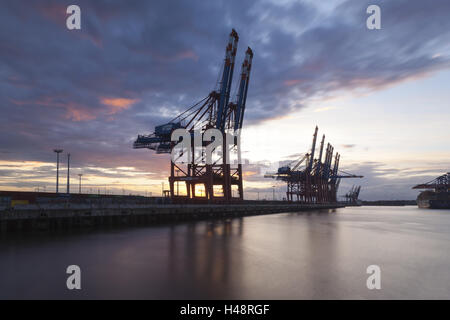 Hamburg, Containerterminal, Hafenkrane, Stockfoto