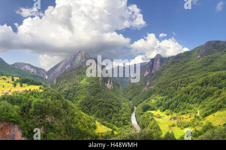 Malerischen Panoramablick auf die Schlucht des Flusses Tara in Montenegro. Stockfoto