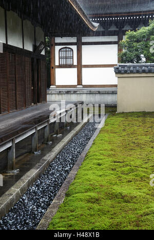 Ryogen im Tempel, japanischer Garten, Zen-Garten, Gebäude, Tempel, Tempelanlage, Wehrmauer, Kies, Moos, Lünette, Regen, Rasen, Japan, Kyoto, Stockfoto