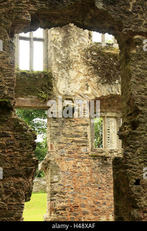 England, Devon, Berry Pomeroy, Schloss, detail, England, Burgruine, Burg, Ruine, Struktur, Mauerwerk, Überreste, Architektur, Ort von Interesse, Reiseziel, Tourismus, Stockfoto