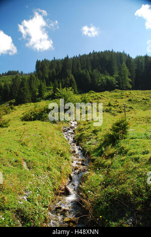 Österreich, Tirol, Zillertal, schöne Wiese, Wildschönau, Alp Bereich, Bergbach, Europa, Berglandschaft, Landschaft, Holz, Wiesen, ländlich, grün, Bach, Alm, Alp, Sonne, Sommer, Himmel, Wolken, menschenleer, Wasser, Stockfoto