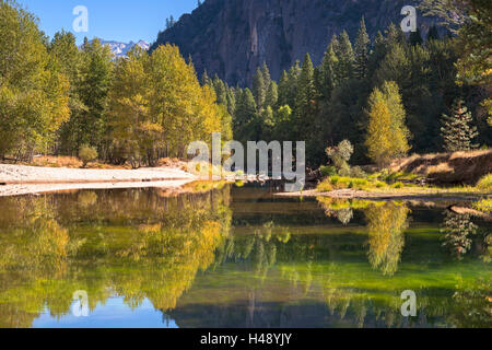 Bunter Herbst Bäume flankieren die Merced River im Yosemite Valley, Kalifornien, USA. Herbst (Oktober) 2014. Stockfoto
