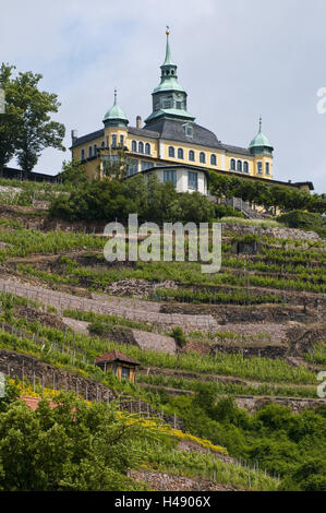 Spitzhaus, Weinberg, Radebeul bei Dresden, Sachsen, Deutschland Stockfoto