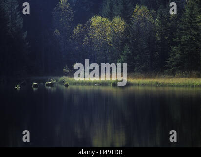 Frankreich, Vogesen, Lac du Lispach im Herbst, Stockfoto