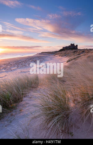 Sonnenaufgang über Bamburgh Strand und Burg von den Sanddünen, Northumberland, England. Frühling (März) 2014. Stockfoto