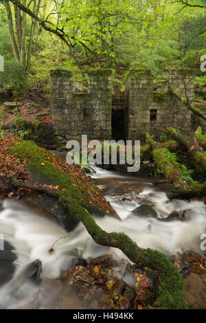 Verlassene 19. Jahrhundert Schießpulver arbeitet bei Kennall Vale, jetzt einen bewaldeten Naturschutzgebiet, Ponsanooth, Cornwall, England. Stockfoto