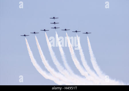 Neun Canadian Forces Snowbirds fliegen in die Kanadagans-Bildung Stockfoto