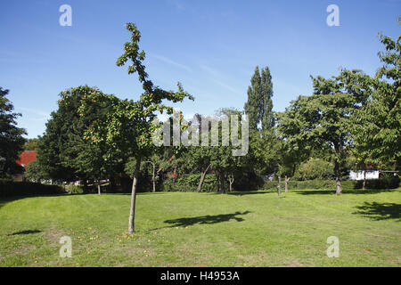 Deutschland, Niedersachsen, Achim (Dorf), Garten, Stockfoto