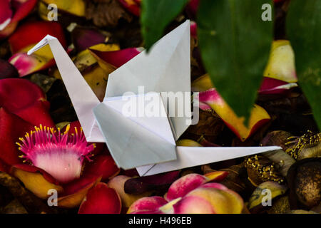 Origami Kolibri und Kran auf schöne Blumen in vollem Umfang Frühling in ein Litle Garten. Stockfoto