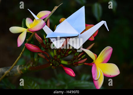 Origami Kolibri und Kran auf schöne Blumen in vollem Umfang Frühling in ein Litle Garten. Stockfoto