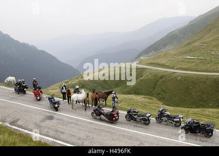 Motorrad im übrigen Alp Ambiente, Landstraße, Pferde auf Asphalt, Stockfoto