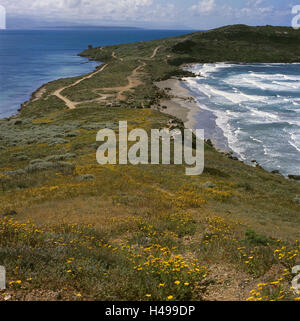 Italien, Sardinien, Sinis Halbinsel, Kap San Marco, Küstenlandschaft, Europa, Mittelmeer-Insel, Meer, Mittelmeer, Küste, Küste, Landschaft, Blumen, Blüte, Vegetation, Blick, Wellen, Surfen, Horizont, draußen, menschenleer, Stockfoto