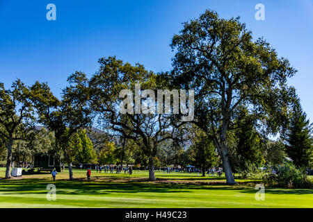 Der Safeway Open Golf Turnier am Mittwoch, den 12. Oktober 2016 Während der Pro-Am-Turnier in Napa, Kalifornien, USA Stockfoto