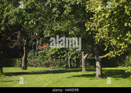 Deutschland, Niedersachsen, Achim (Dorf), Garten, Stockfoto