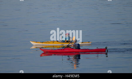 Menschen Kajakfahren auf dem Puget Sound, Washington State, USA Stockfoto