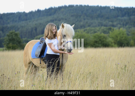 Mädchen, Pferd, Wiese, Ständer, Landschaft, Stockfoto