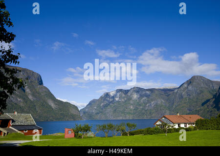 Skandinavien, Norwegen, Haus, Aurland, Stockfoto