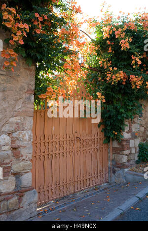 Italien, Toskana, Bolgheri, Schloss, Detail, Tor, Stockfoto