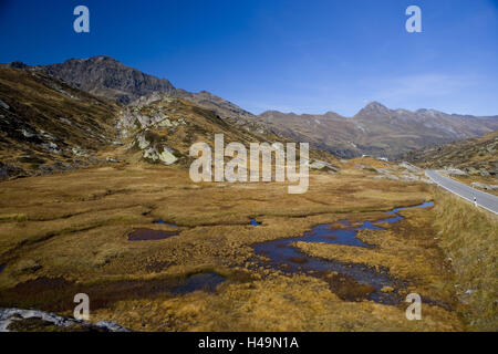 Schweiz, Bündner, Rhein Holz, San Bernardino Pass, Bergpass, Marsh Wiese, Moore, Masegg Bach, Mäander, Stockfoto