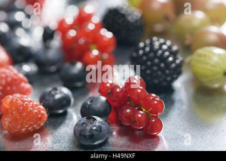 Rote Johannisbeeren, Himbeeren, Stachelbeeren, Heidelbeeren, Brombeeren, schließen herauf, Lebensmittel, Obst, Beeren, essbar, blau-schwarz, dunkel, rote, hellrot, grüne, vielen, duftig, Produktfotografie, Studio, Sommer Frucht, weiche Früchte, Beeren, Vitaminen, reich an Vitaminen, anders, verstorben, Unschärfe, Stockfoto