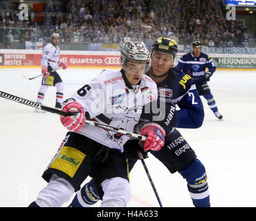 Ingolstadt, Bayern, Deutschland. 14. Oktober 2016. von links Kai WISSMANN (Berlin), Patrick MCNEILL (Ingolstadt / CAN),. Deutsche Eishockeyliga DEL, Spieltag 9, ERC Ingolstadt Vs Eisbaeren Berlin, Ingolstadt, Saturn Arena, 14. Oktober 2016, © Wolfgang Fehrmann/ZUMA Draht/Alamy Live News Stockfoto