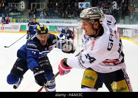 Ingolstadt, Bayern, Deutschland. 14. Oktober 2016. vom linken Benedikt SCHOPPER (Ingolstadt), Andre RANKEL (Berlin). Deutsche Eishockeyliga DEL, Spieltag 9, ERC Ingolstadt Vs Eisbaeren Berlin, Ingolstadt, Saturn Arena, 14. Oktober 2016, © Wolfgang Fehrmann/ZUMA Draht/Alamy Live News Stockfoto