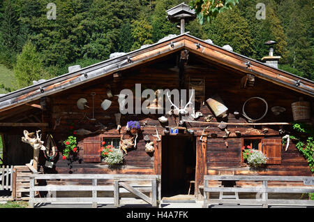 Österreich, Tirol, eng, Fissura Tal, Naturschutzgebiet, große Ahorn Boden, Karwendelgebirges, Bauernhaus, Stockfoto