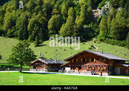 Österreich, Tirol, eng, Fissura Tal, Naturschutzgebiet, große Ahorn Boden, Karwendelgebirges, Bauernhäuser, Stockfoto