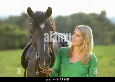 Teenager-Mädchen, Pferd, Arabo-Haflinger, Wiese, frontal, Ständer, Rückfahrkamera, Stockfoto