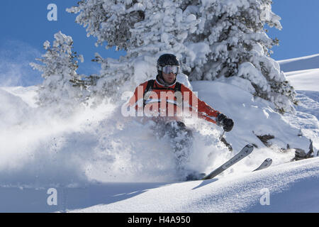 Skifahrer, Freerider im Pulverschnee vor schneebedeckten Bäumen, Stockfoto