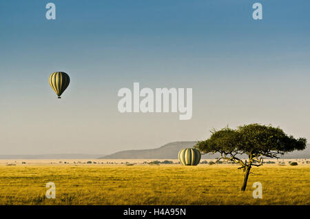 Afrika, Tansania, Ostafrika, Serengeti, Nationalpark, Ballon, Heißluftballon, Ballonfahrt, Stockfoto