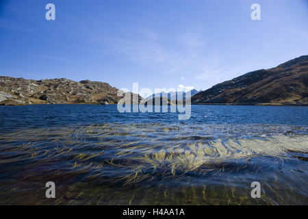 Schweiz, Bündner, Rhein Holz, San Bernardino pass, pass Höhe, 2066 m, Lago Moesola, Seegras, Stockfoto