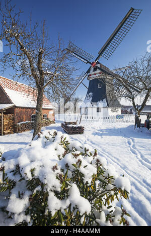 Winterstimmung, Werdum Mühle in Werdum, Niedersachsen, Ostfriesland, Harlingerland, Stockfoto