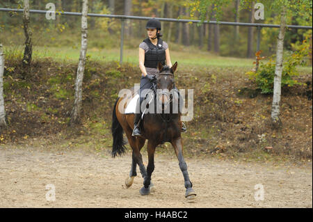 Teenager-Mädchen, Pferd, Bayerisches Warmblut, Reiten, Frontal, Stockfoto