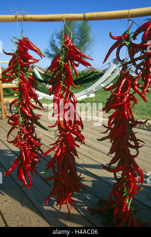 Italien, Sizilien, San Lorenzo, Chili im Bambusstock trocken, Stockfoto