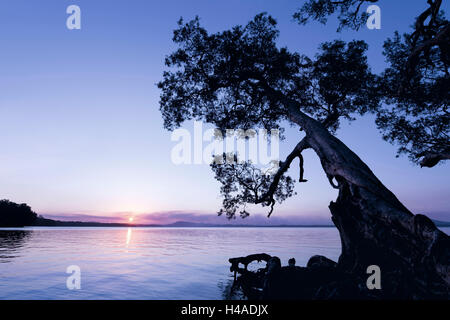 Australien, New South Wales, Myall Lakes National Park, Sonnenuntergang, Stockfoto