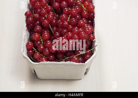 Peel, rote Johannisbeere, Ribes Rubrum vor Gericht, detail, Lebensmittel, Obst, Obst, Sommer Obst, Beerenobst, essbar, Beeren, rot, Stachelbeere Pflanzen, Rispen, Johanisbeer-Rispen, ätzend, sauer, kalorienarm, frische Vitamine, reich an Vitaminen, Produktfotografie, Studio, Stockfoto