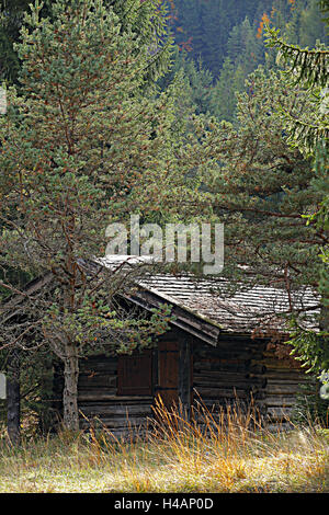 hölzerne Stahlwerke, versteckt am Rande des Waldes, Stockfoto