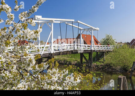 Deutschland, Niedersachsen, Altes Land, Steinkirchen, Hogendiek-Brücke, Stockfoto