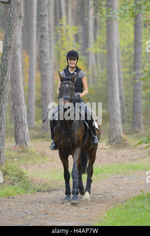 Teenager-Mädchen, Pferd, Bayerisches Warmblut, Reiten, Frontal, Blick in die Kamera, Stockfoto