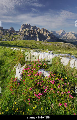Cadini di Misurina, Veneto, den Dolomiten, Italien Stockfoto
